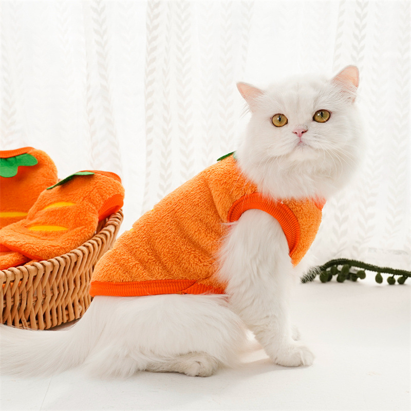 Pet Clothes Winter Warm Coats  - đánh giá và giá Winter Clothing For Toddlers