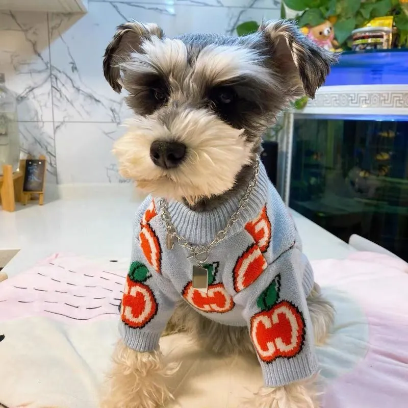 Letter Sweater Pet Dog Clothes - đánh giá và giá Winter Clothing For Toddlers