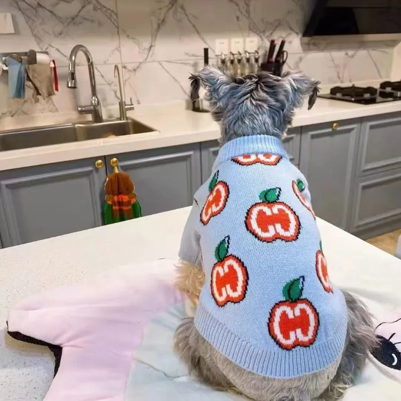 Letter Sweater Pet Dog Clothes - đánh giá và giá Winter Clothing For Toddlers