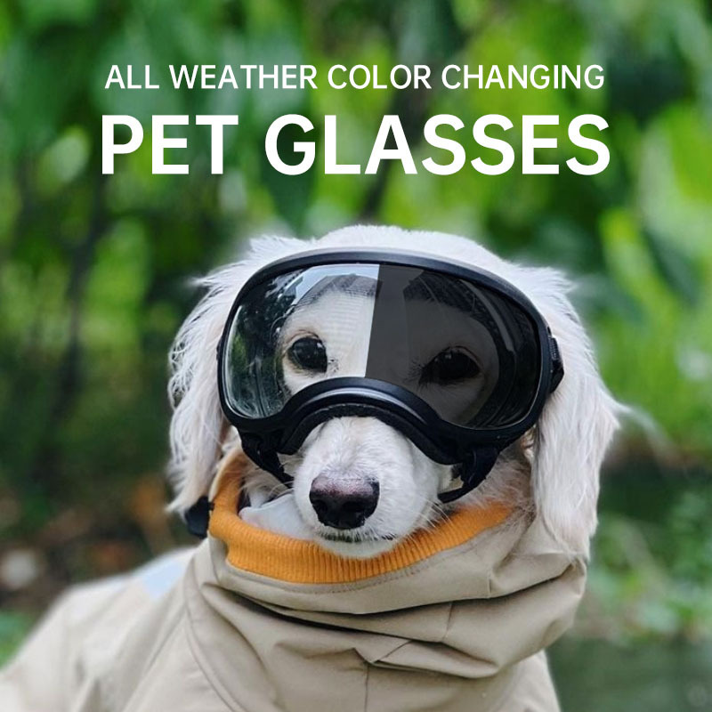 Color changing pet glasses dog - đánh giá và giá Snow Goggle Uv