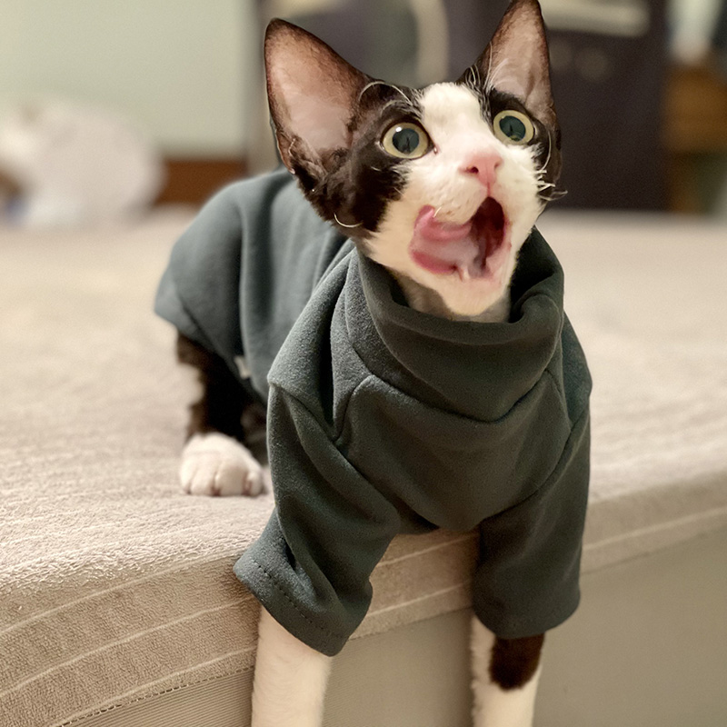 Sphynx Cat Clothes Baby Soft C - đánh giá và giá Winter Clothing For Toddlers